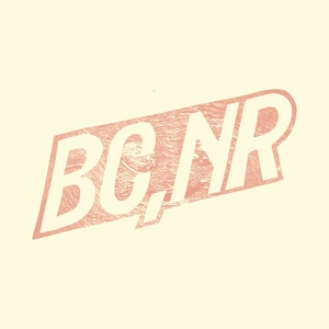 Black Country New Road Tickets, Tour Dates and Concerts