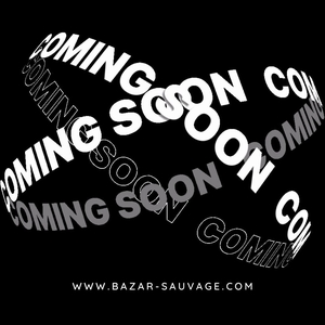 Isabelle Beaucamp Tickets, Tour Dates and Concerts